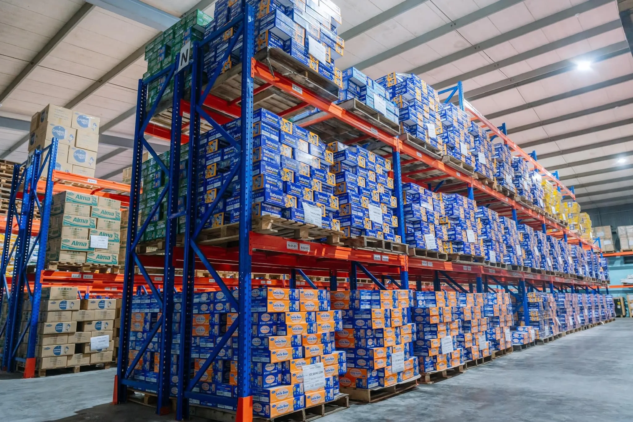 Ứng dụng kệ Drive In trong kho hàng chứa pallet số lượng lớn