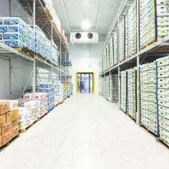 Kệ kho lạnh bảo quản hàng đông lạnh