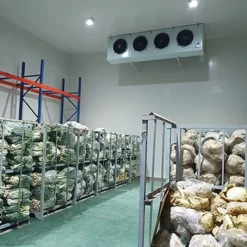 Kệ kho lạnh giá rẻ lưu trữ thực phẩm